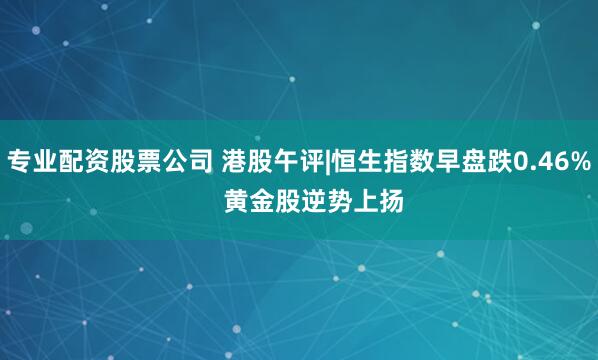 专业配资股票公司 港股午评|恒生指数早盘跌0.46%    黄金股逆势上扬