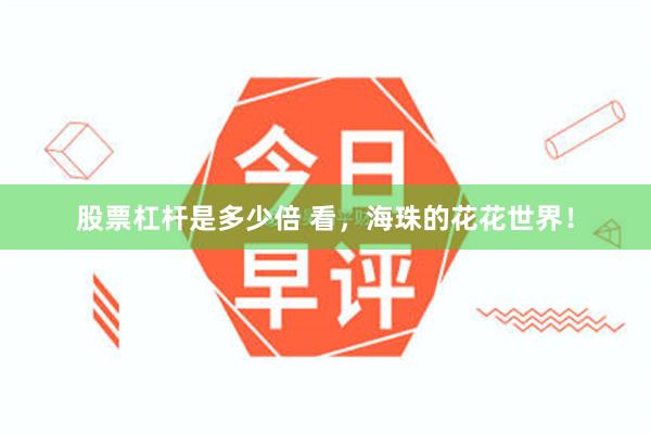 股票杠杆是多少倍 看，海珠的花花世界！