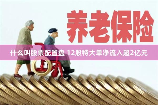 什么叫股票配置盘 12股特大单净流入超2亿元