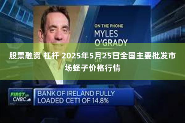 股票融资 杠杆 2025年5月25日全国主要批发市场蛏子价格行情