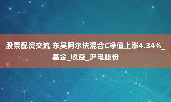 股票配资交流 东吴阿尔法混合C净值上涨4.34%_基金_收益_沪电股份